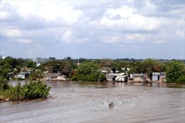 Cà Mau: Tiếp diễn sạt lở đất ven sông tại Năm Căn